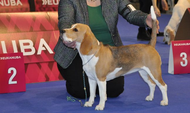 Audrey bei der IHA in Brno