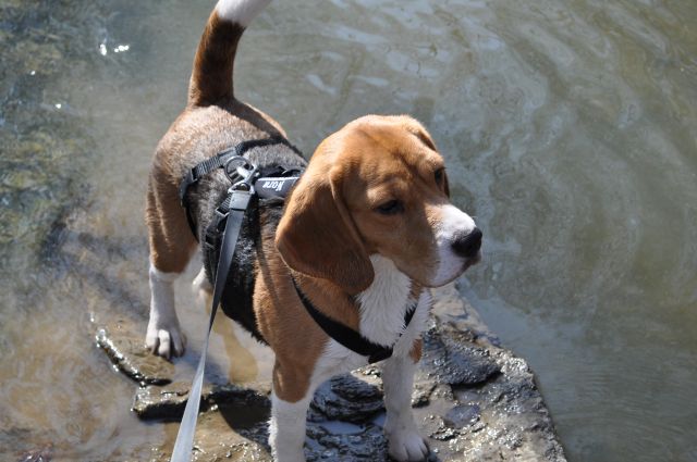 Start der Ausstellungssaison 2014