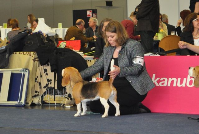 IHA Salzburg am 05.04.2014