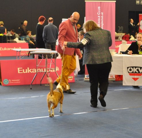 IHA Salzburg am 05.04.2014