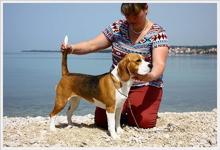 Audrey vom Rappenwald