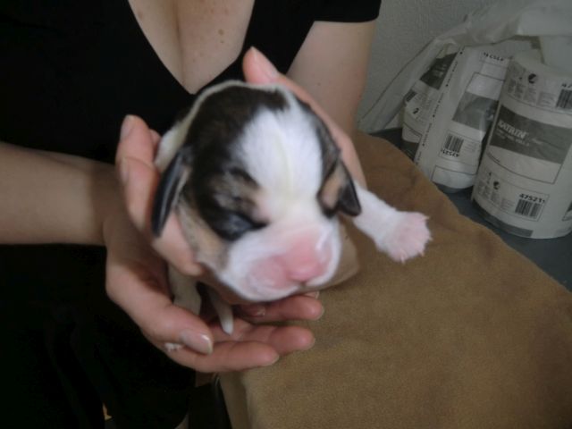 140614 awurf hue02 01