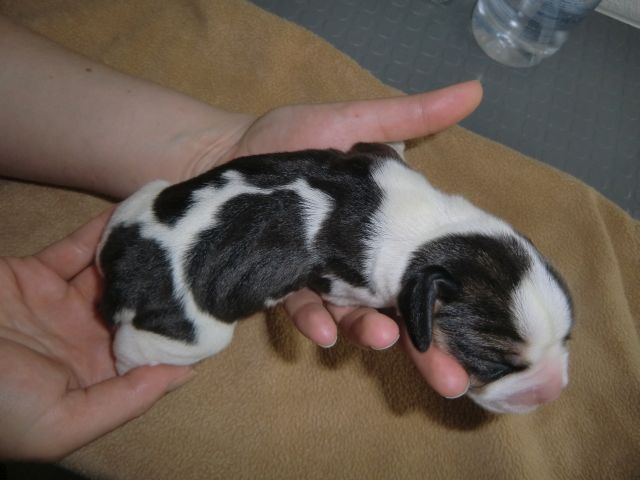 140614 awurf hue02 02