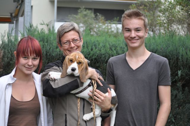 Golden Swissline Grand Athavar "Duke"