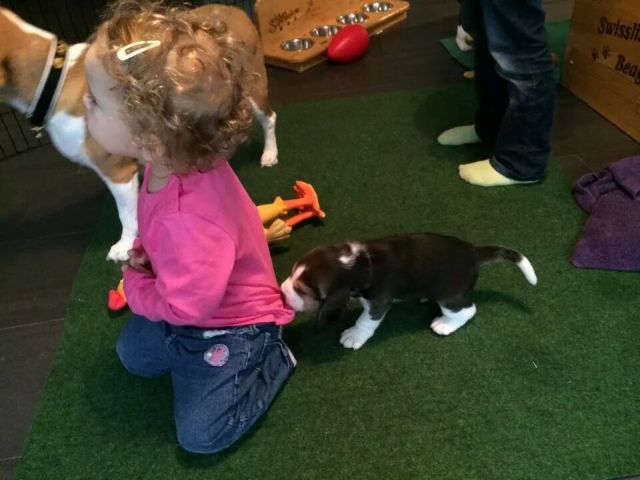 Unsere Elfen entdecken die Welt