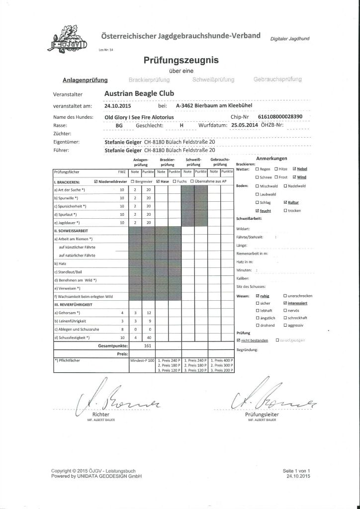 Urkunde von Cassy's Anlagenprüfung