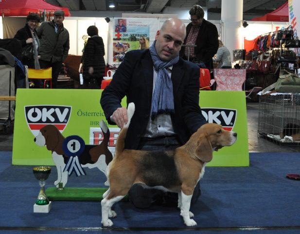 Fonteposcas American Pie „Nora“