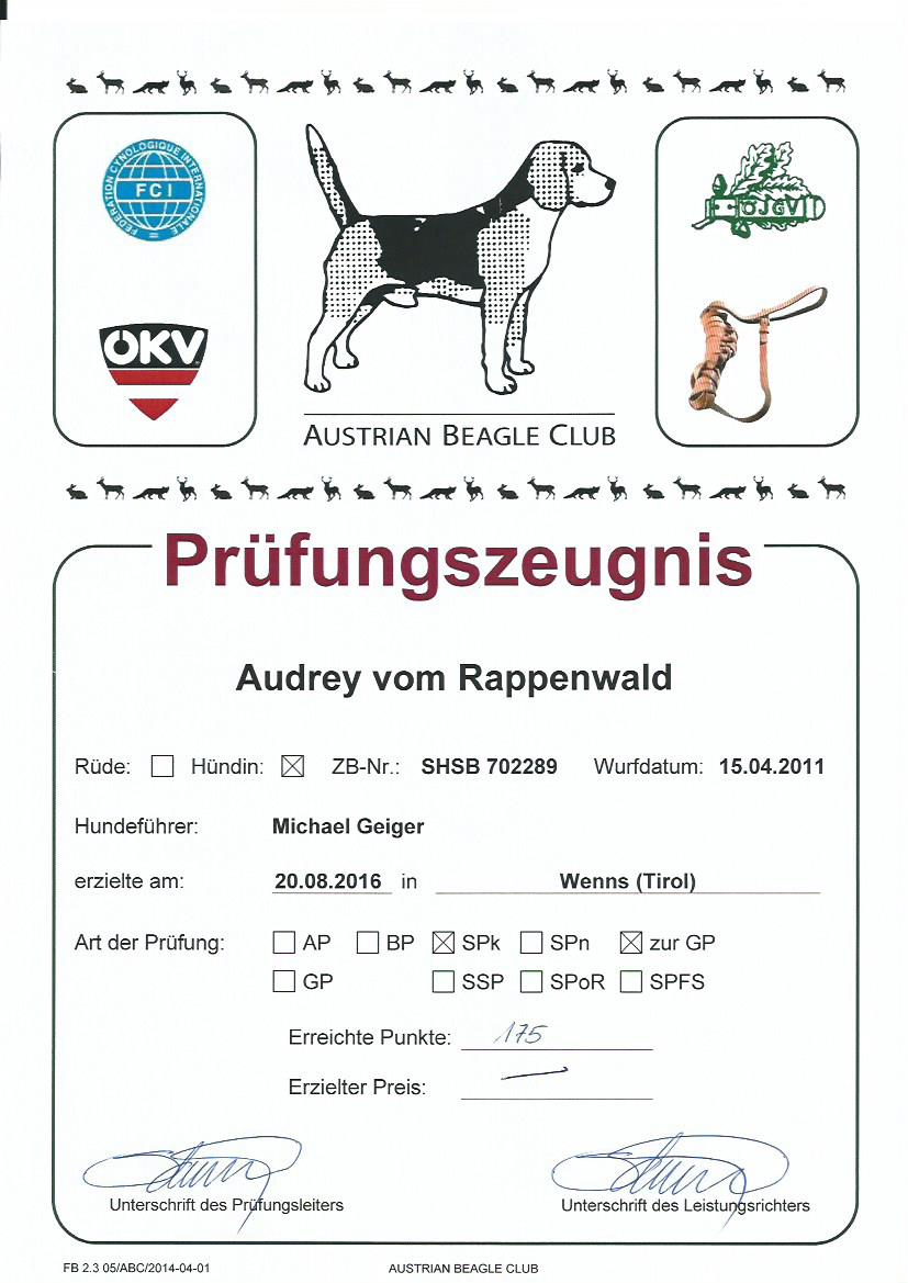 Audery Schweisspfrüfung