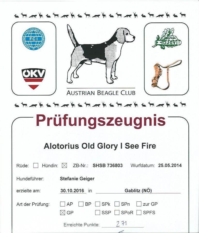 Urkunde von Cassy's Anlagenprüfung