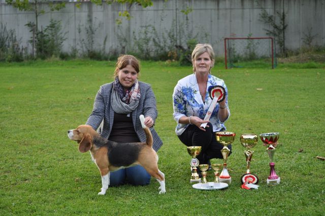 Clubsiegerschau des ABC 2015