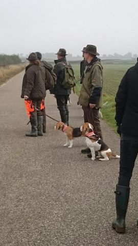 Brackierprüfung 2015