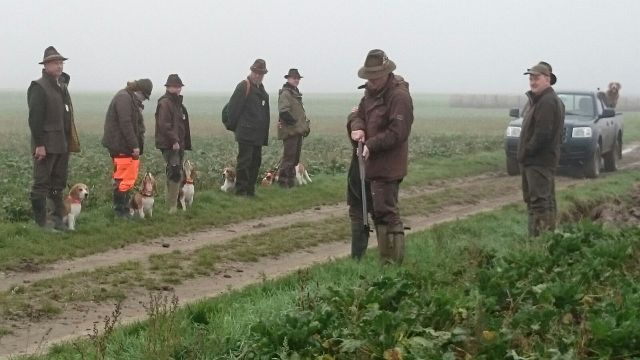 Brackierprüfung 2015