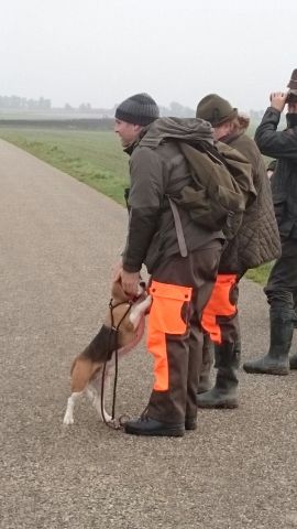 Brackierprüfung 2015