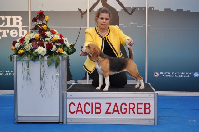 CACIB Zagreb 2015