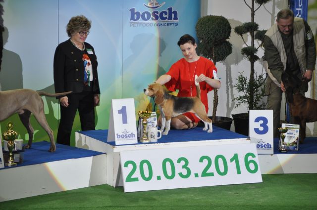 CAC Katowice am 20.03.2016