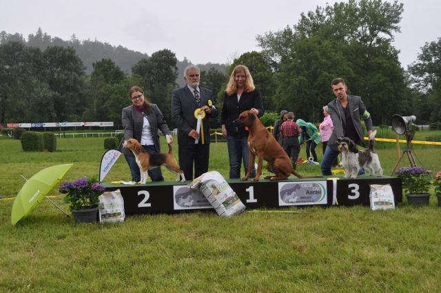 Cassy bei der IHA Aarau