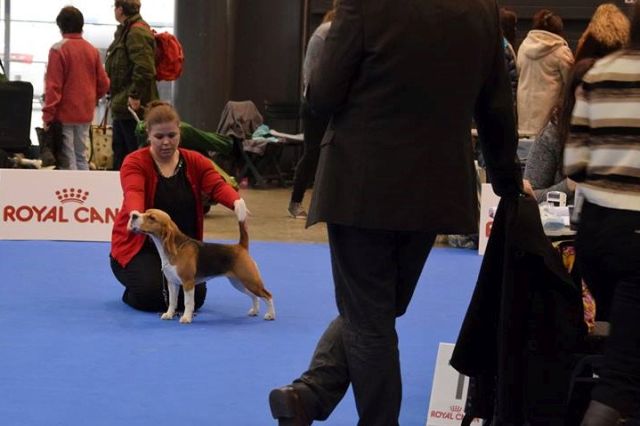 Cassy bei der IHA Brünn