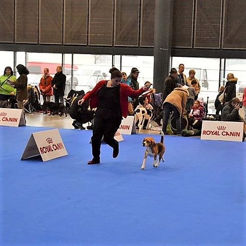 Cassy bei der IHA Brünn