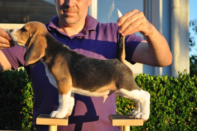 2017 07 30 bentley 03