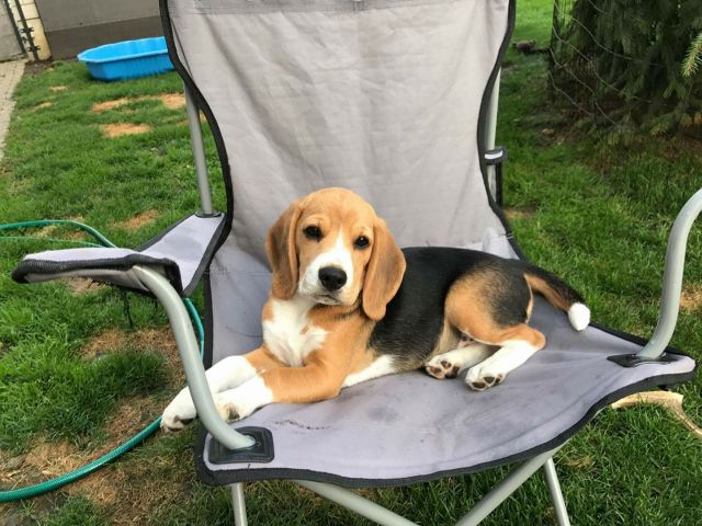 Nora bei der IHA in Brno