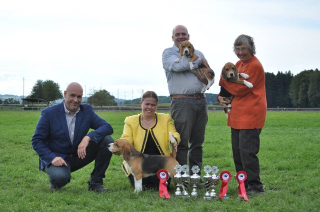Clubsiegerschau Beagle Club Schweiz