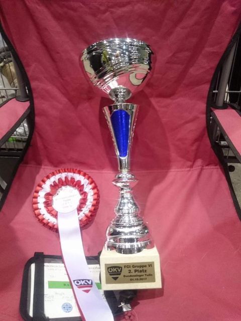 Bundessiegerschau Tulln 2017