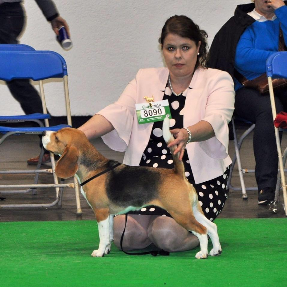 Crufts 2018