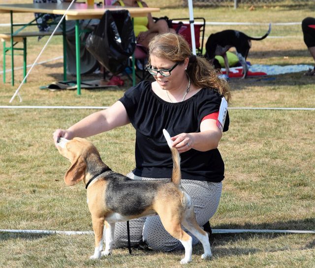 Die ersten Championate für Golden Swissline