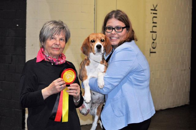 32. Ortenau-Schau in Offenburg 2019