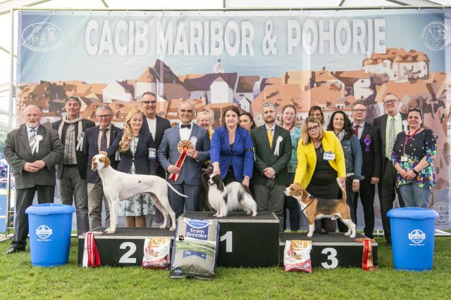 Maribor & Pohorje 2019