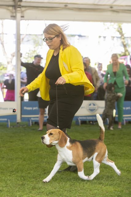 Maribor & Pohorje 2019