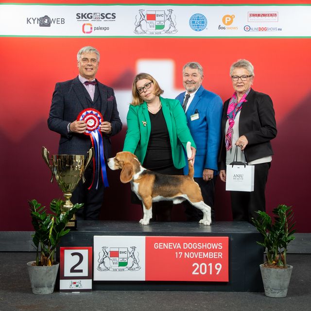 Curtis bei der IHA in Genf