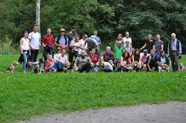 Jahresrückblick 2019