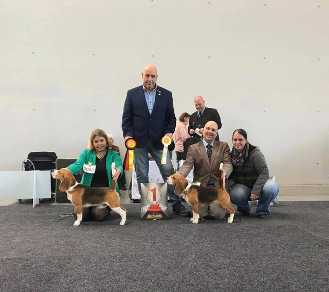 Jahresrückblick 2019