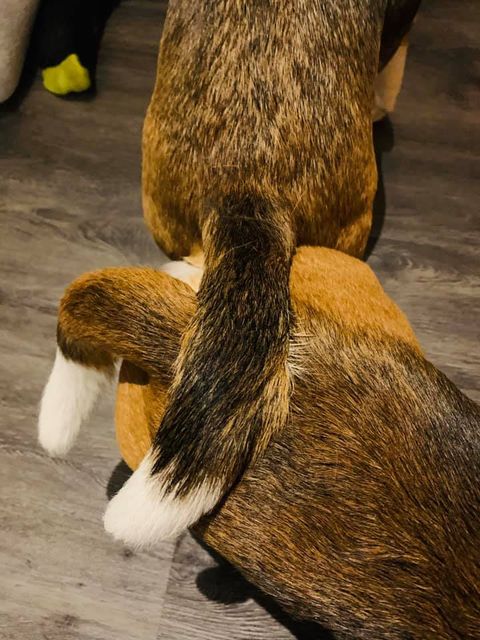 Jahresrückblick 2019