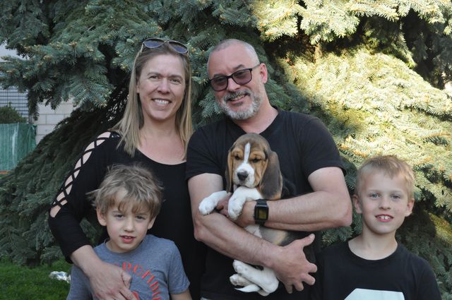 Golden Swissline Dream Maker