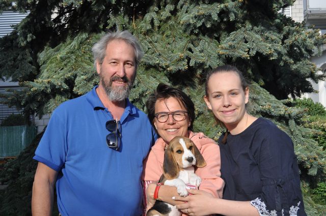 Golden Swissline Dreams come True