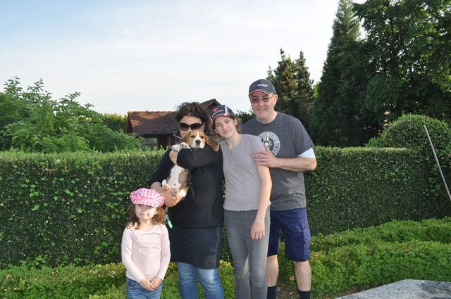 Golden Swissline Don't give up your Dreams