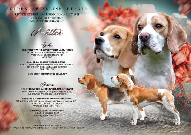 Wurfplanung Diana & Spike