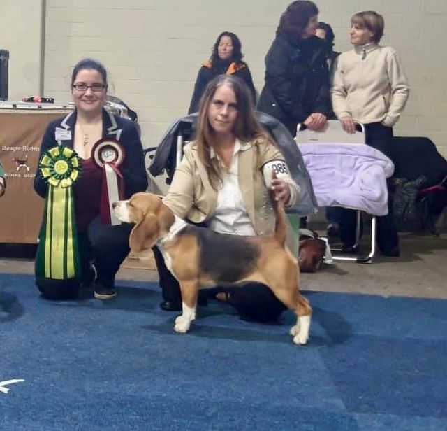 Toffee bei der Zuchtzulassungsprüfung