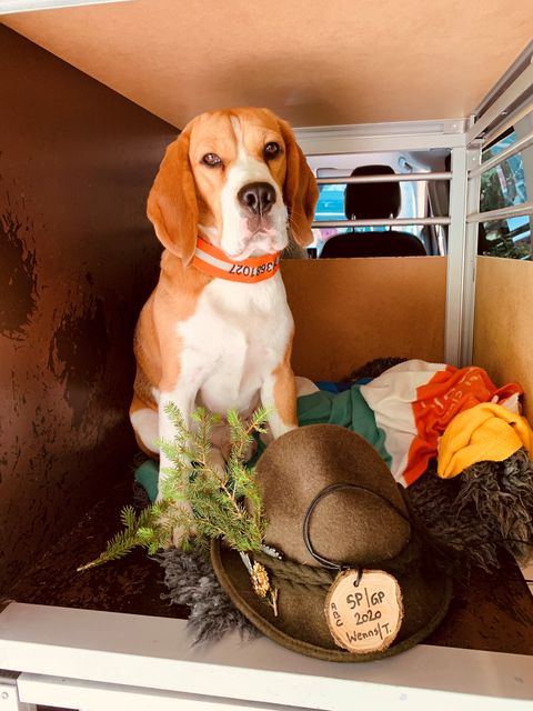 Curtis Schweissprüfung