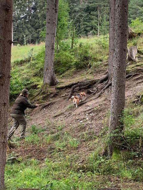 Curtis Schweissprüfung