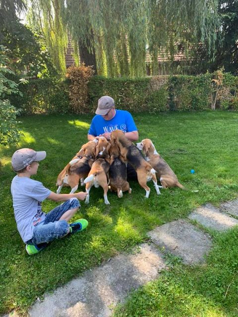 Curtis schließt seine GP erfolgreich ab