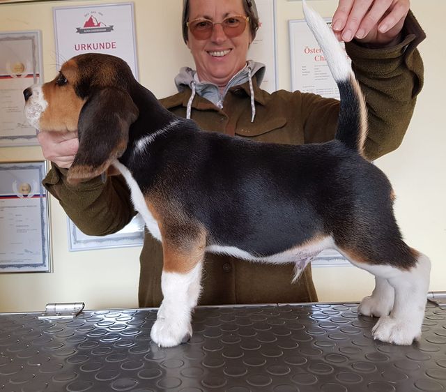 2021 02 28 w9 candy 10