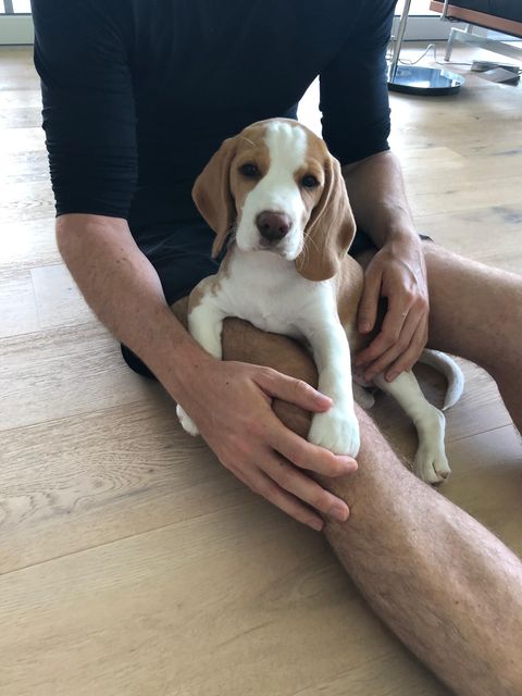 Fragaria Vesca "Fiby" - Abschied