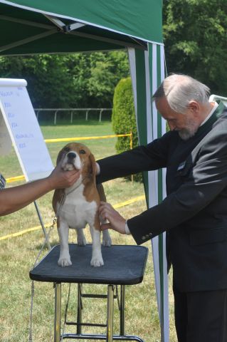 Nora bei der IHA in Brno