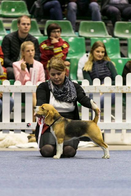 Audrey bei der IHA in Brno