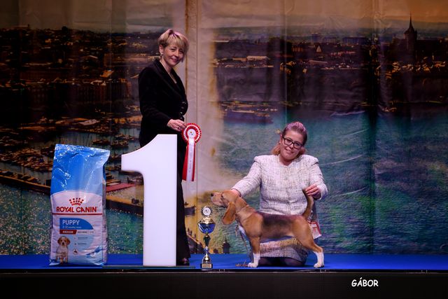 Audrey bei der IHA in Brno