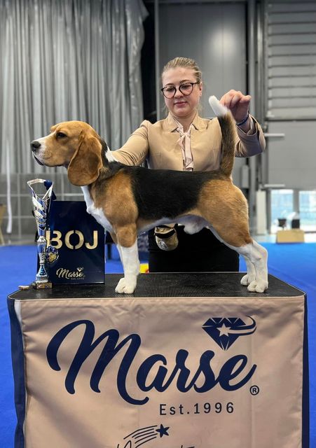 Darling from Ukraine Mary Lucky Stars