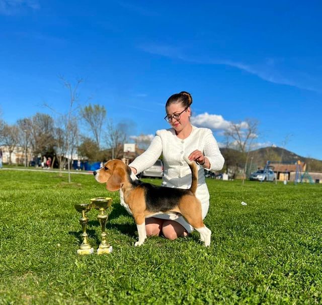 Darling from Ukraine Mary Lucky Stars